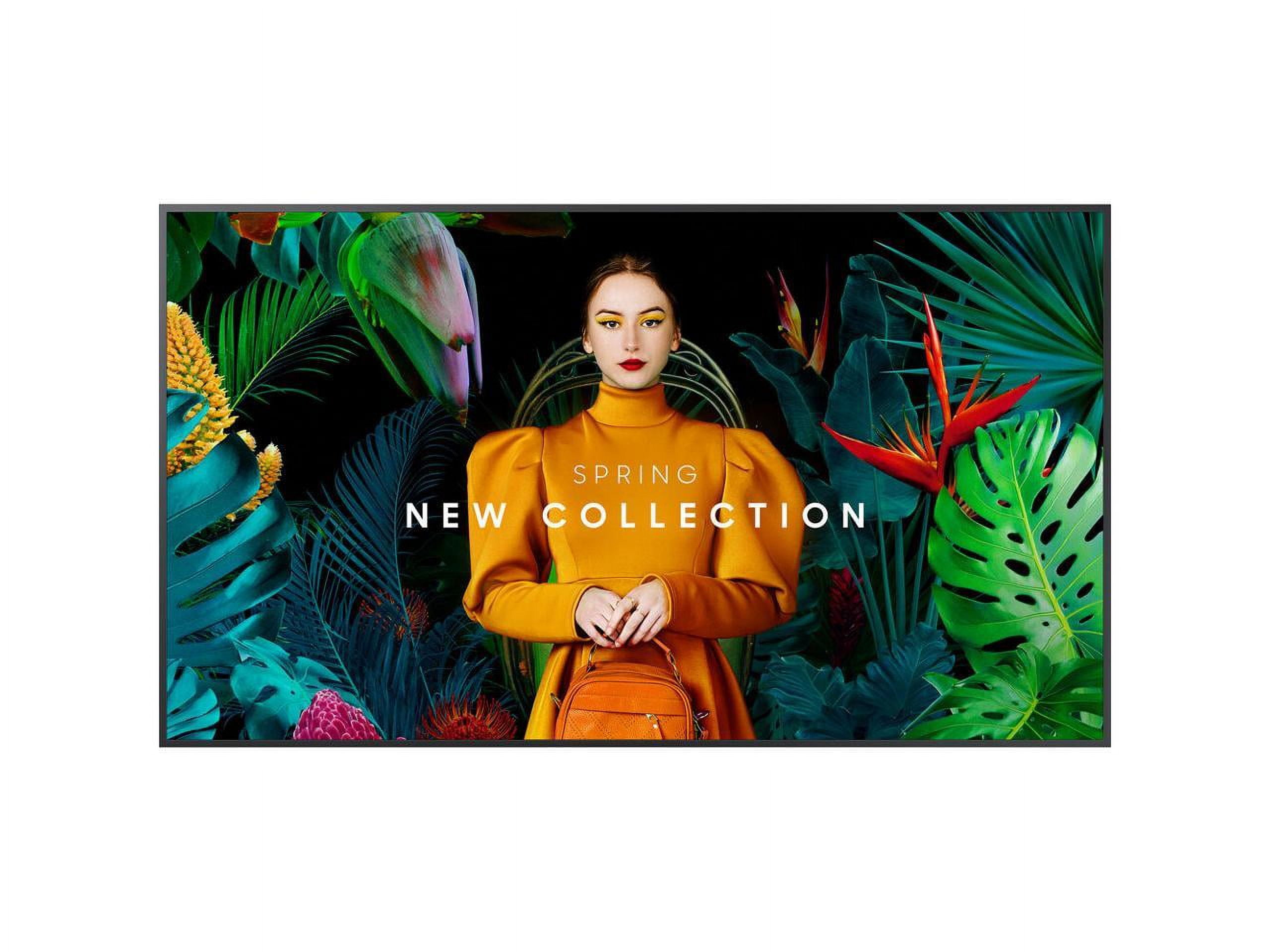65" Commercial 4K UHD Dsply